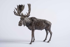 Bronze Foundry Cast Moose Sculpture